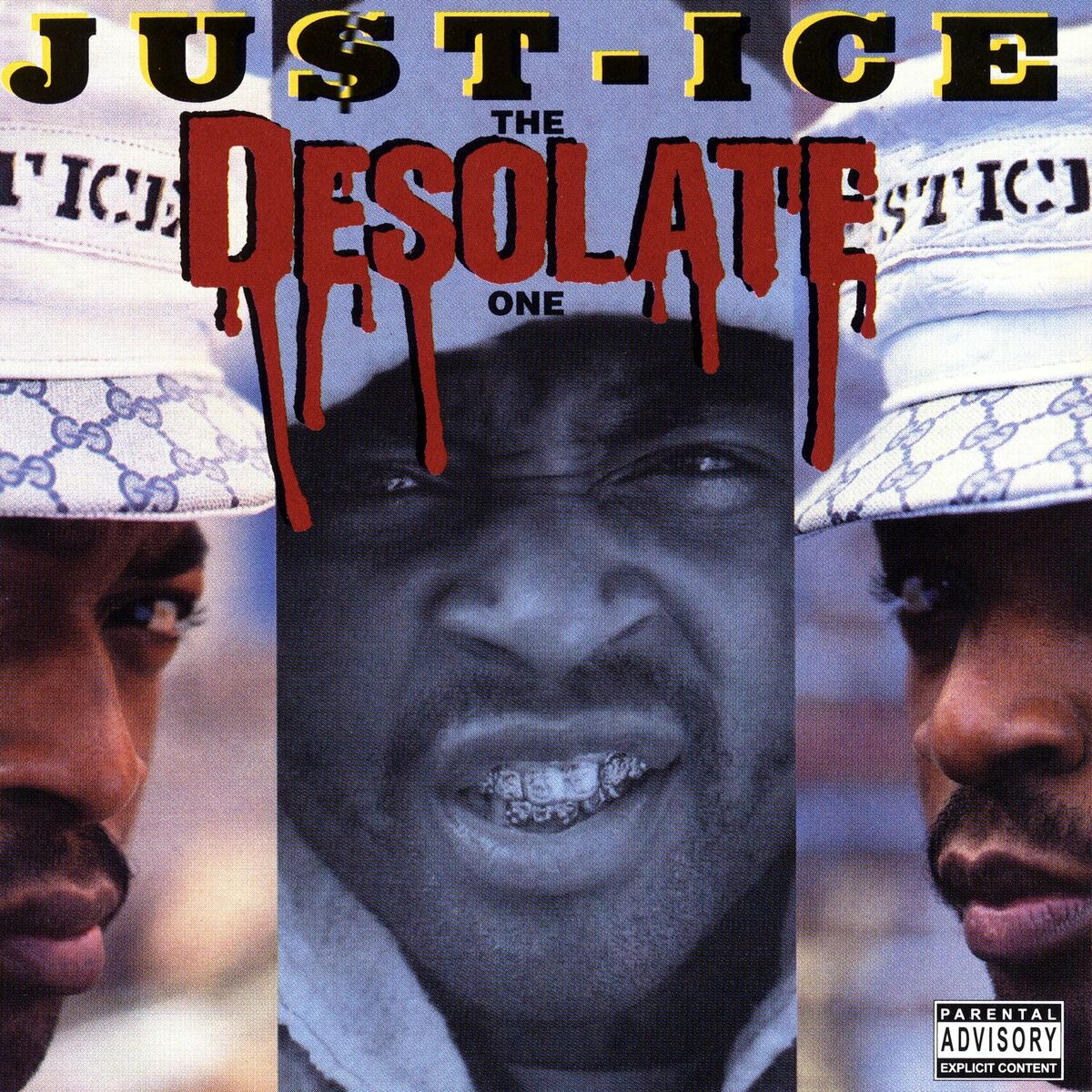 Album cover of The Desolate One