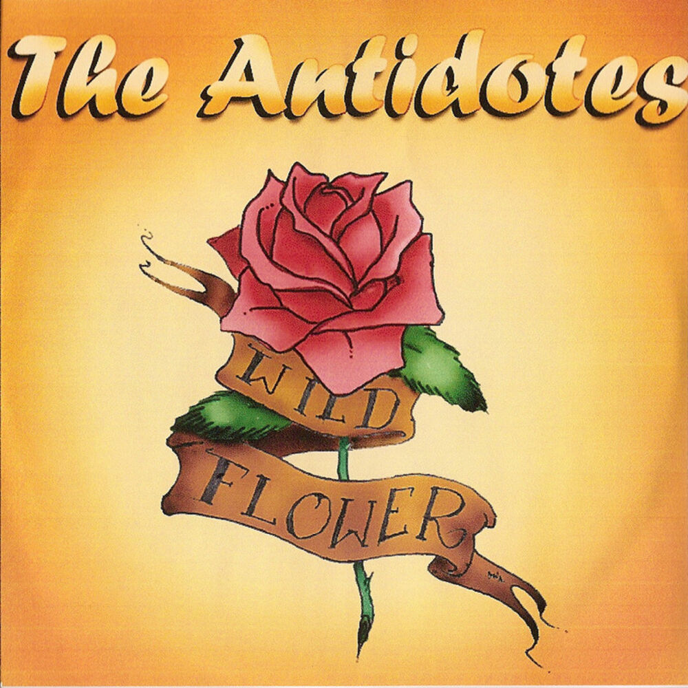 Picture of Wildflower