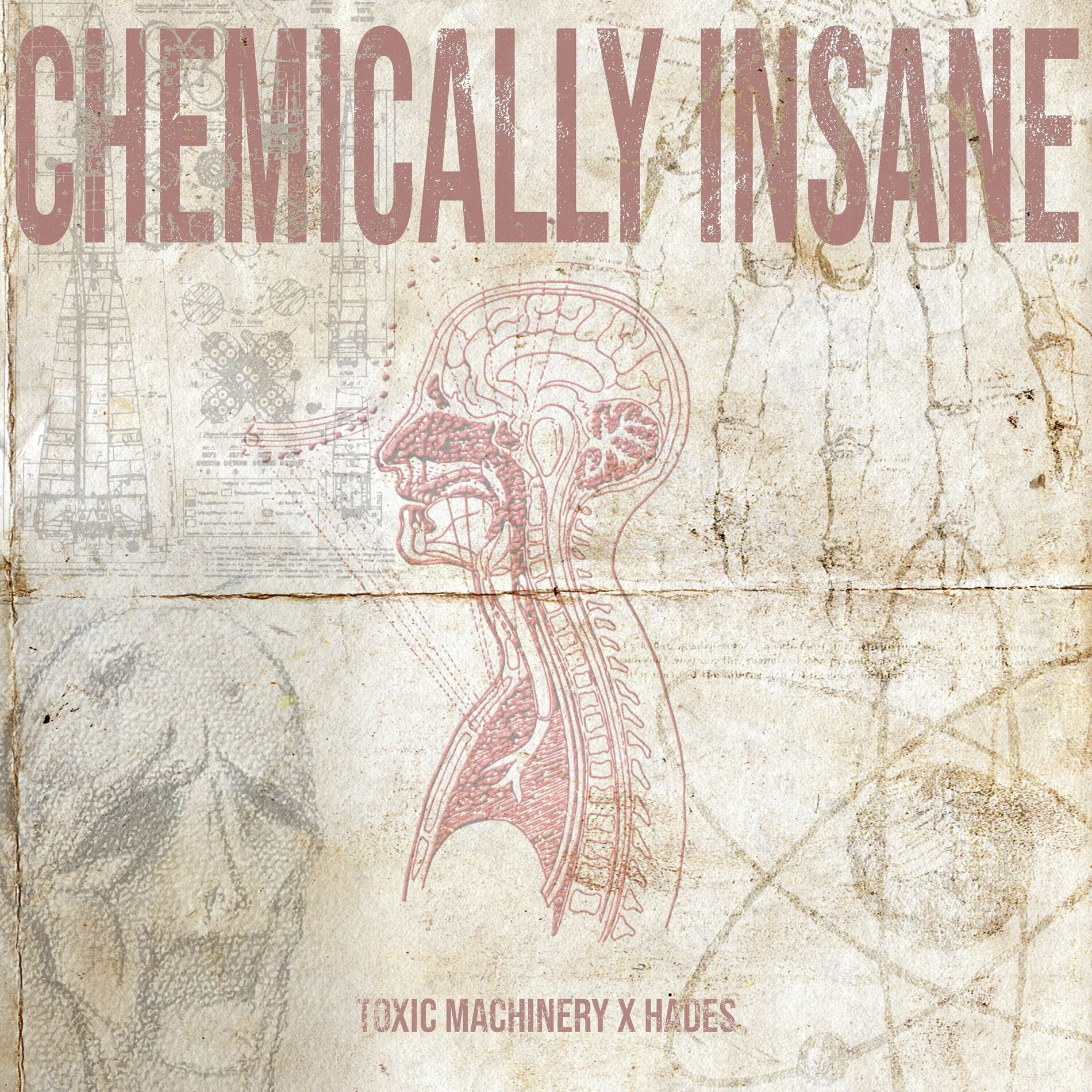 Album cover of Chemically Insane