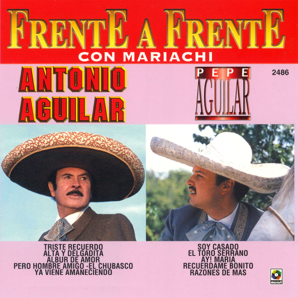 Album cover of Triste Recuerdo