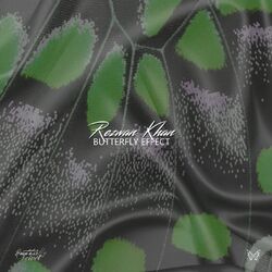 Cover of Butterfly Effect