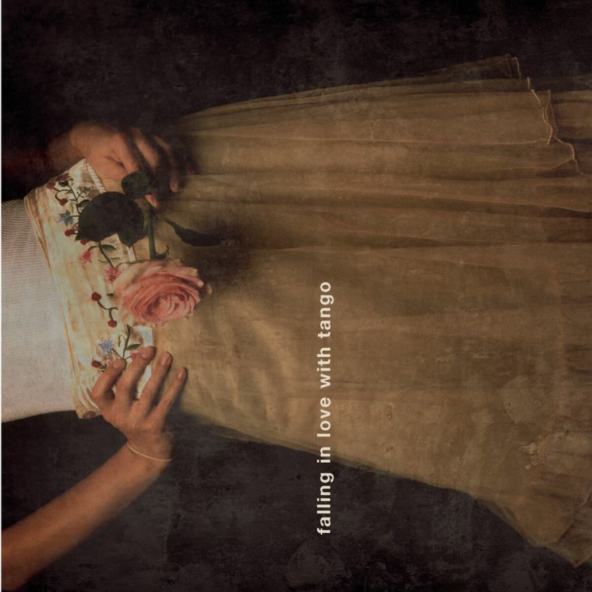 Album cover of Falling In Love With Tango