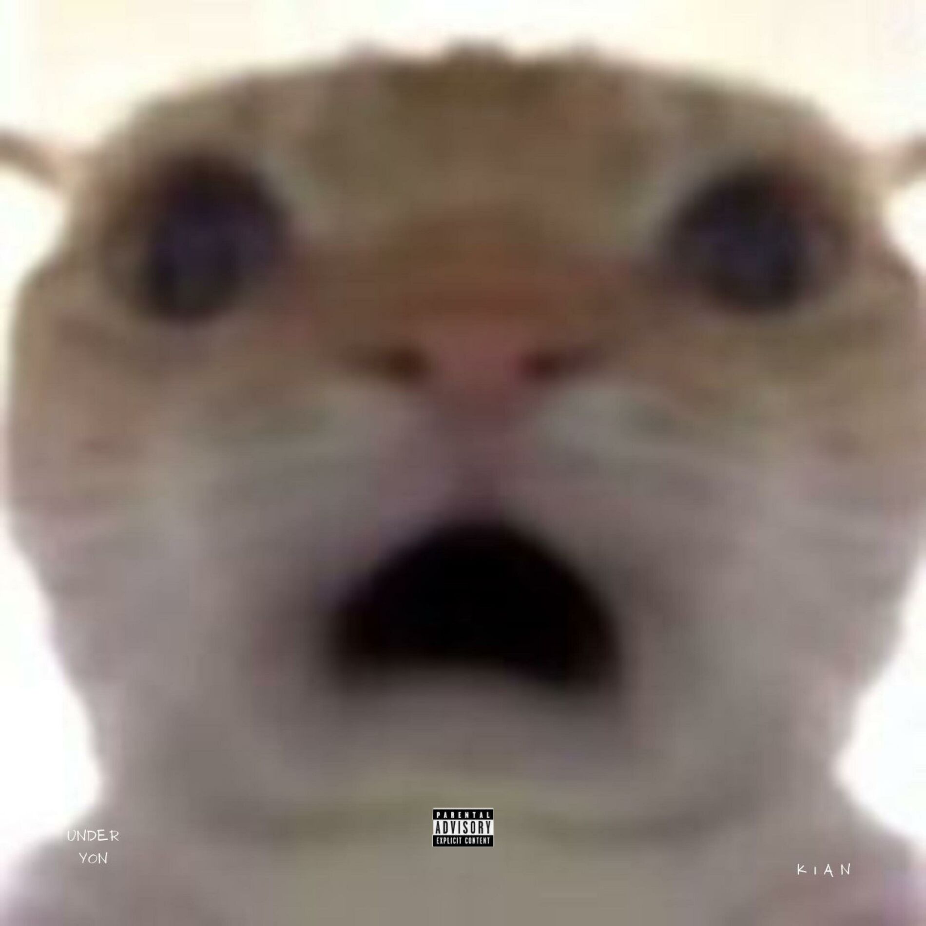 Album cover of First Strike (feat. KIAN)