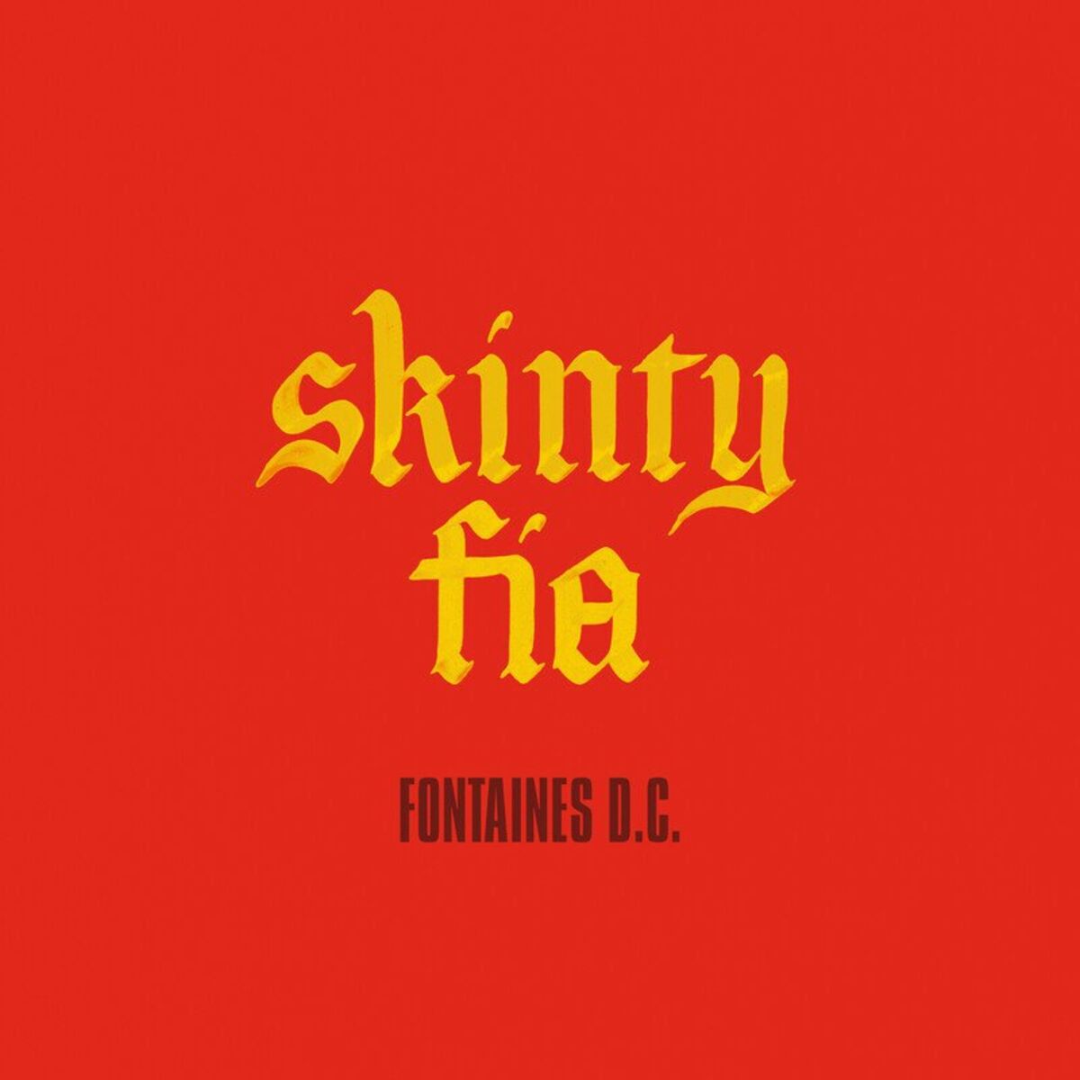 Album cover of Skinty Fia