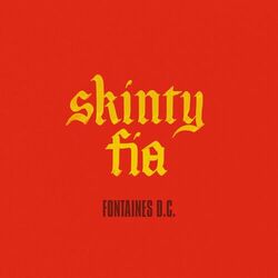 Cover of Skinty Fia (Edit)