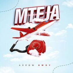 Cover of Mteja