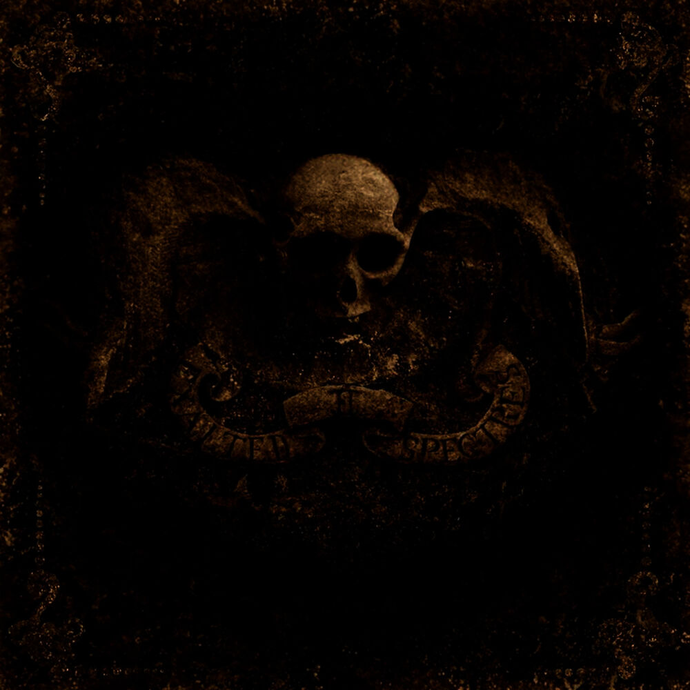 Picture of II - Exalted Spectres