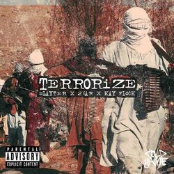 Cover of Terrorize