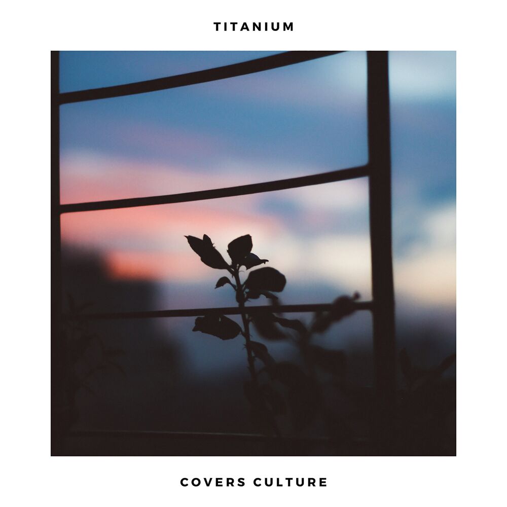 Picture of Titanium (Acoustic Covers Versions of Popular Songs)