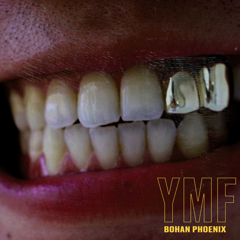 Picture of YMF