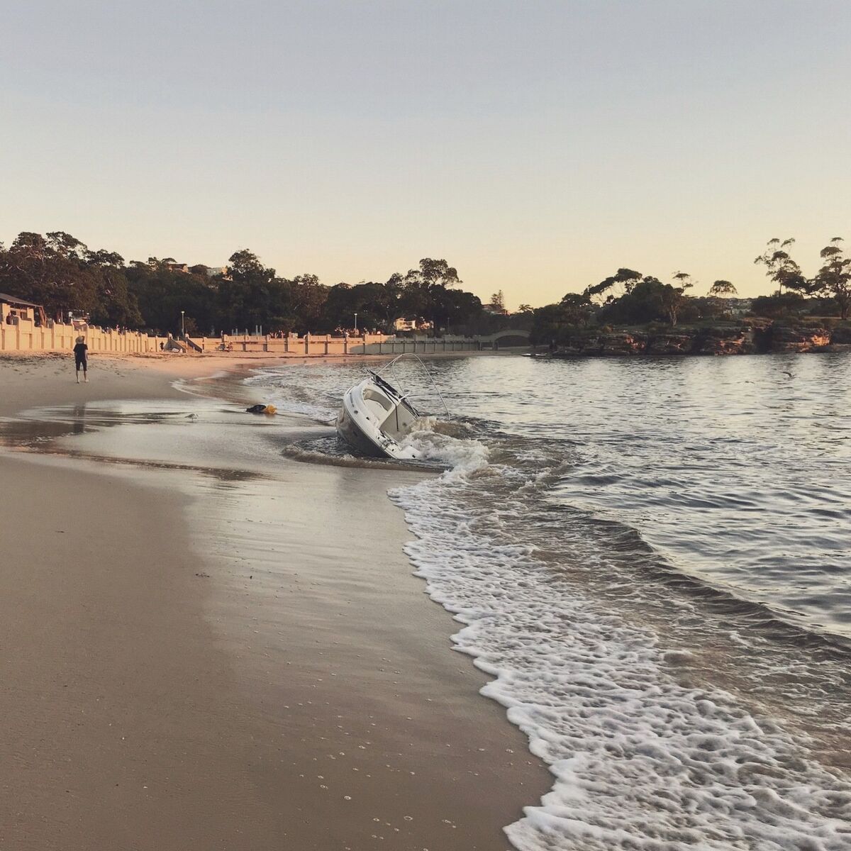 Album cover of The Shore