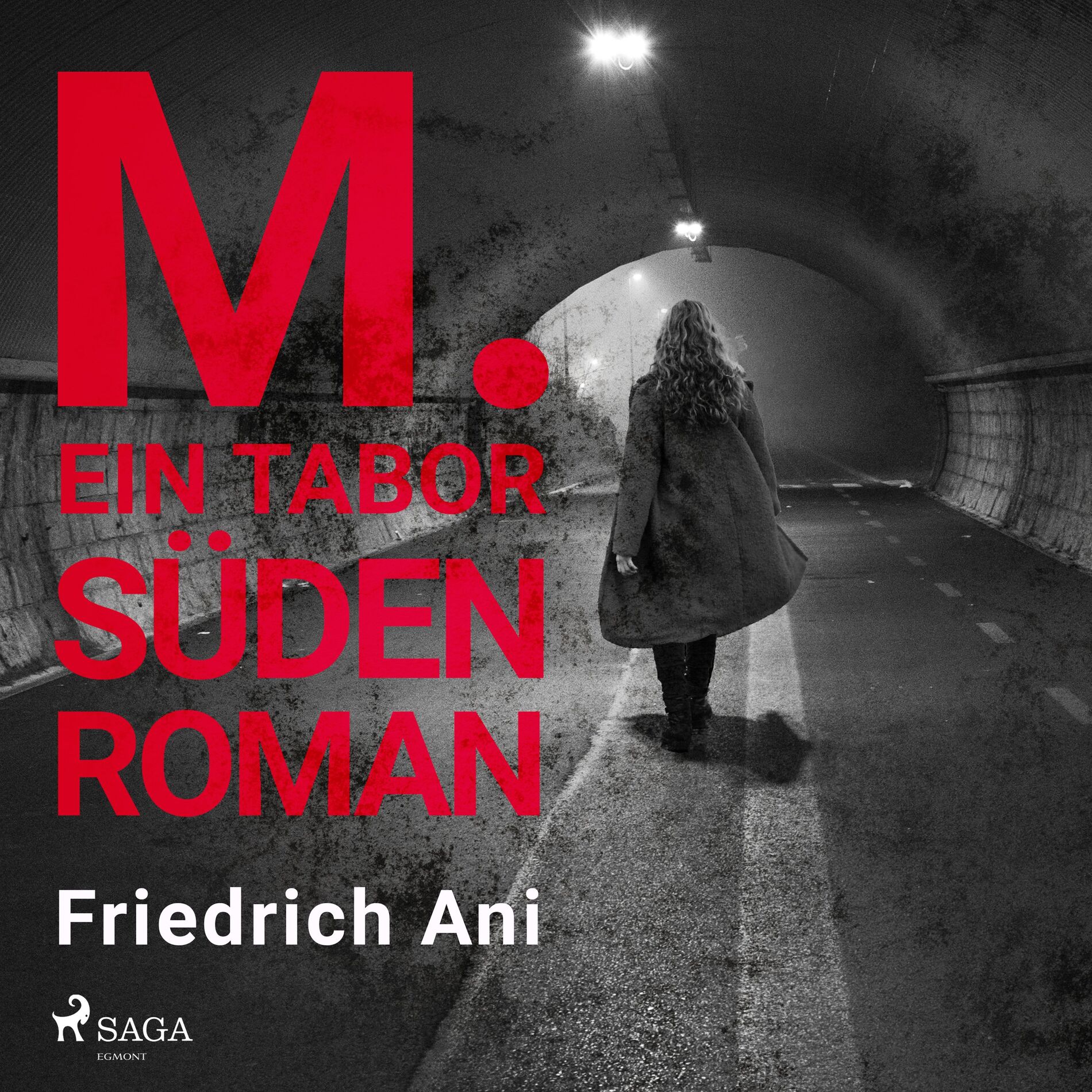 Album cover of M. Ein Tabor Süden Roman