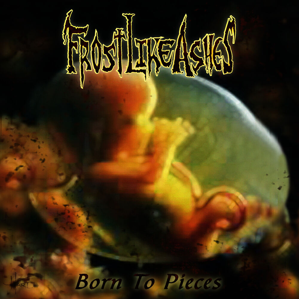 Picture of Born to Pieces