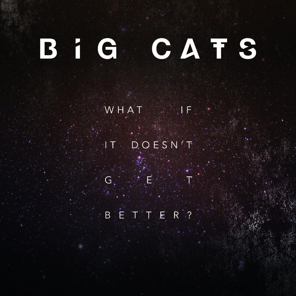 Picture of What If It Doesn't Get Better?