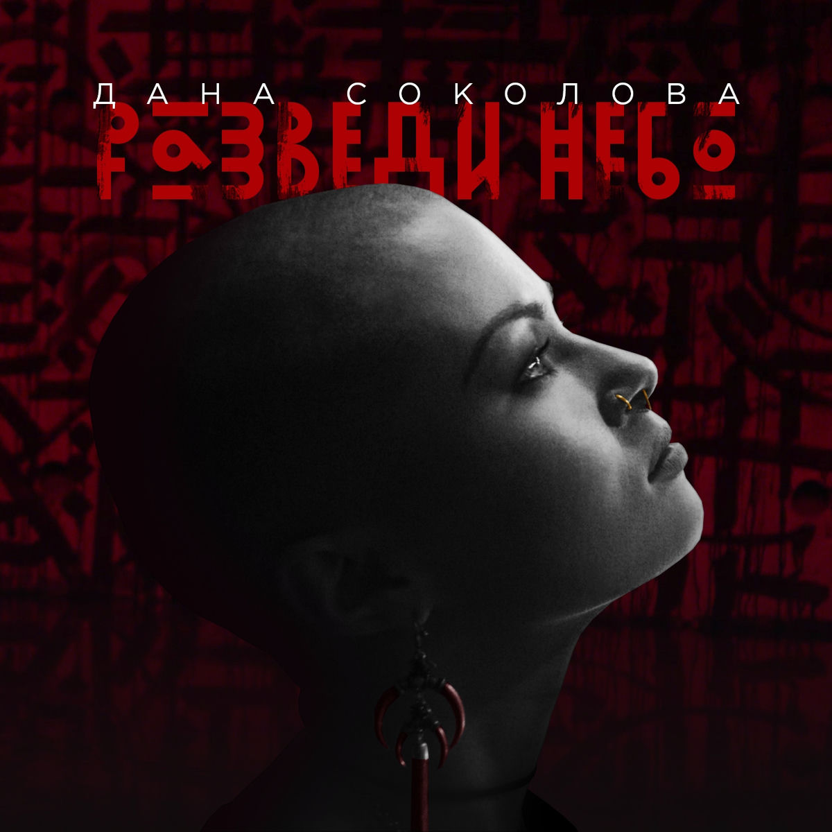 Album cover of Разведи небо