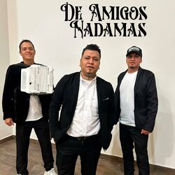 Cover of De Amigos Nadamas