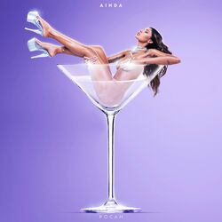 Cover of AINDA