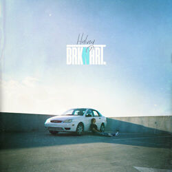 Cover of BRKNHRT.