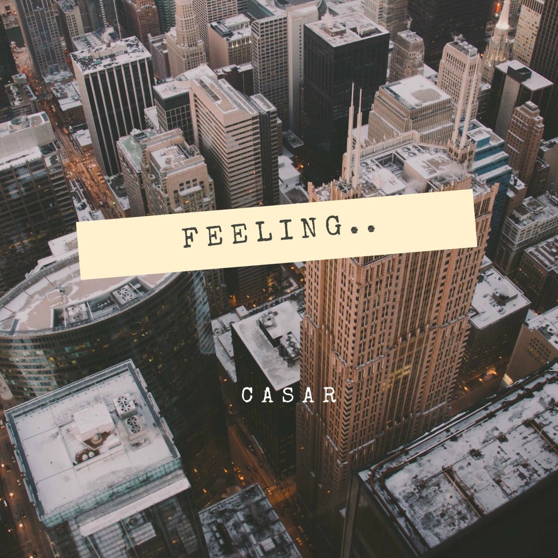 Album cover of Feeling