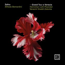 Cover of Grand Tour a Venezia