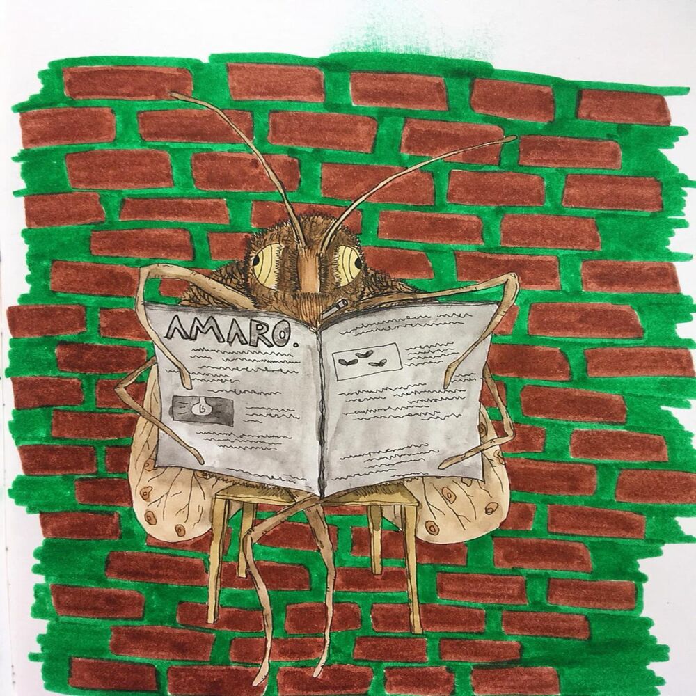 Picture of Mariposa