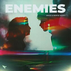 Cover of Enemies