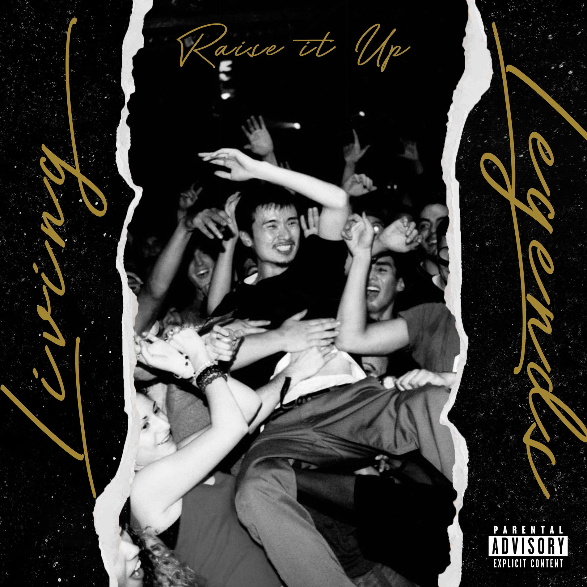 Album cover of Raise it Up