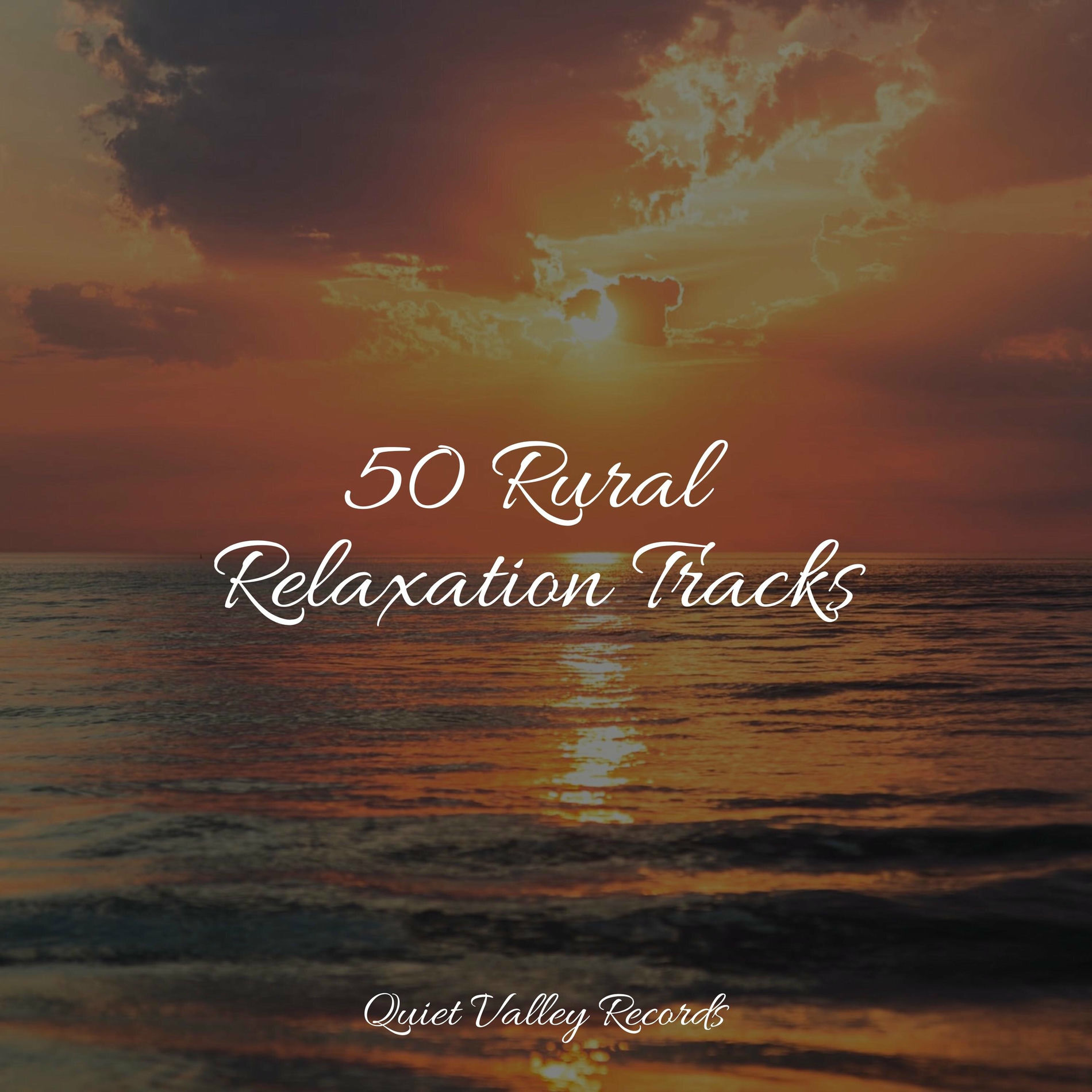 Album cover of 50 Rural Relaxation Tracks