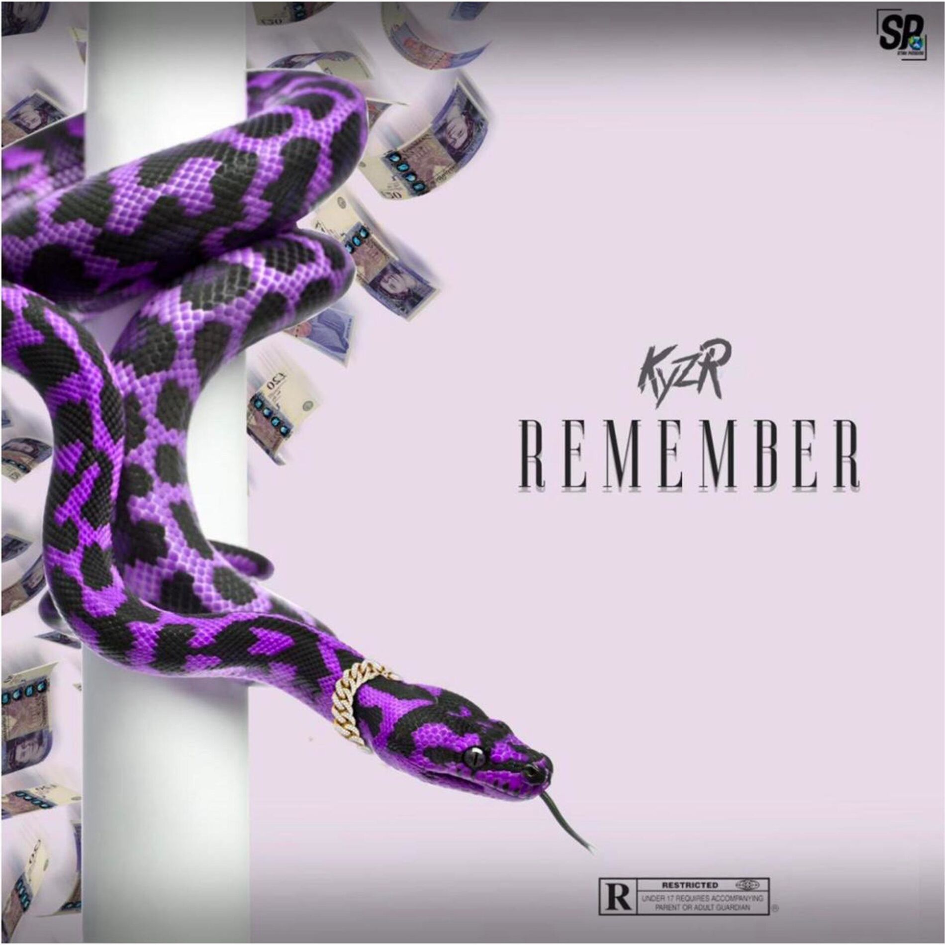 Album cover of Remember