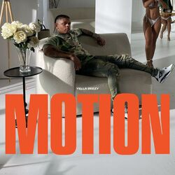 Cover of Motion