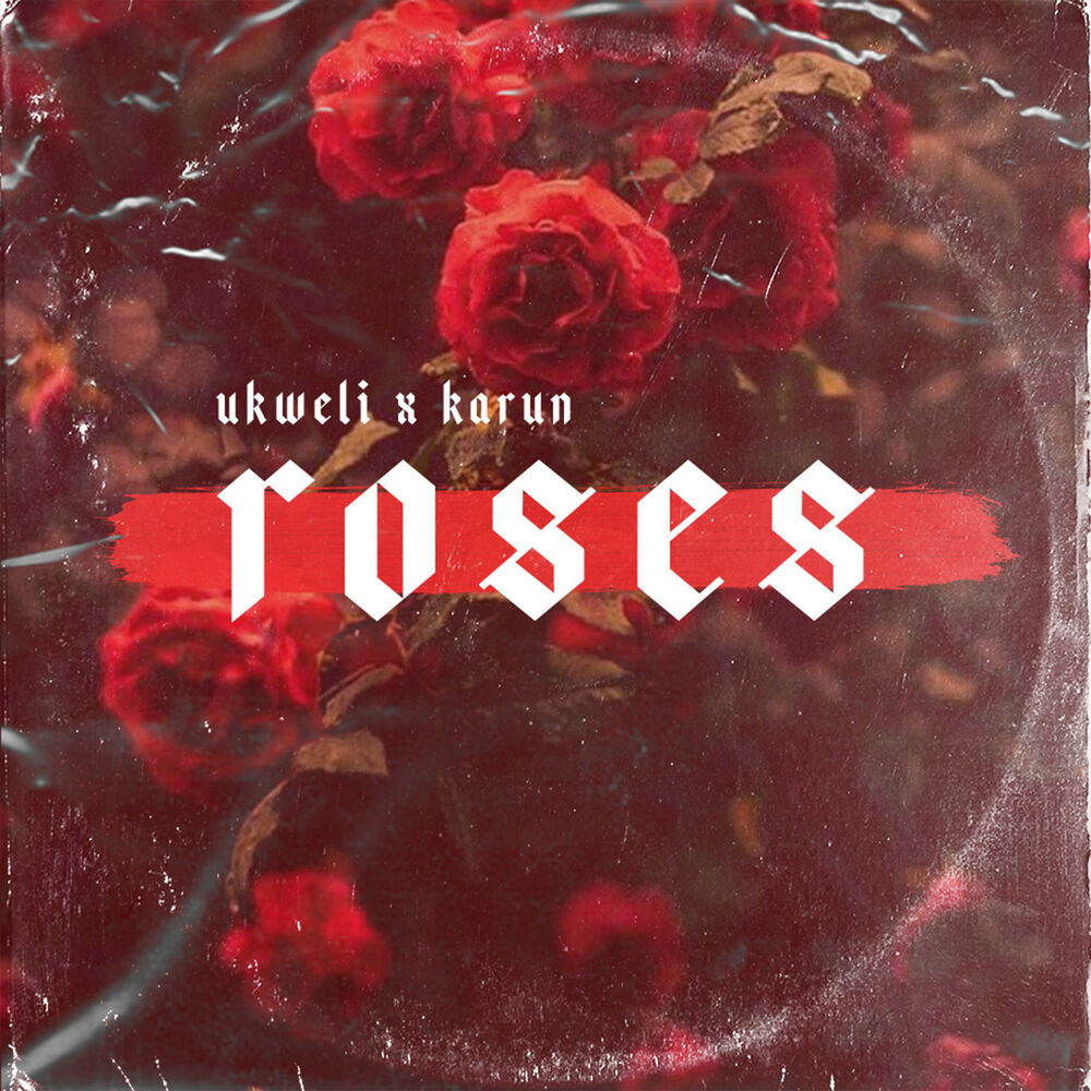 Picture of Roses