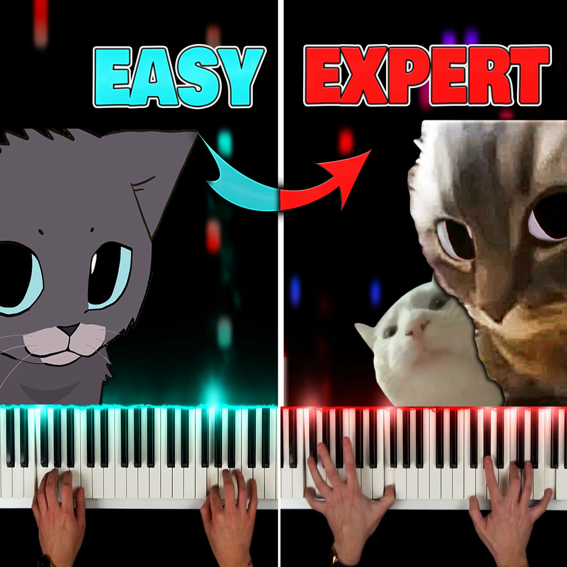 Album cover of Chipi Chipi Chapa Chapa | EASY to EXPERT but...