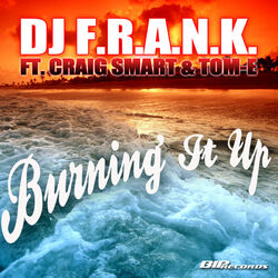 Cover of Burning It Up
