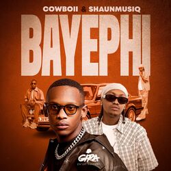 Cover of Bayephi