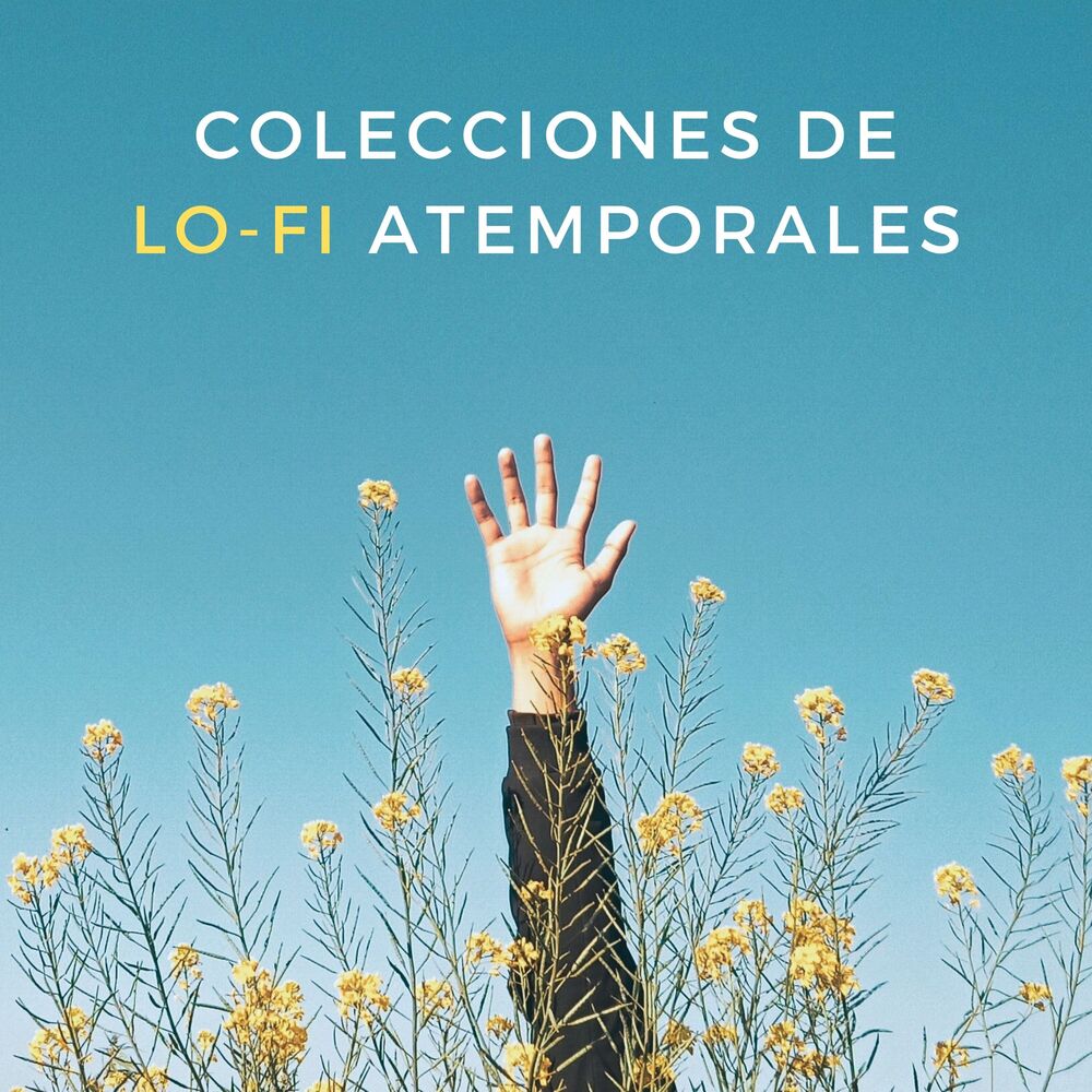 Picture of Colecciones De Lofi Atemporales
