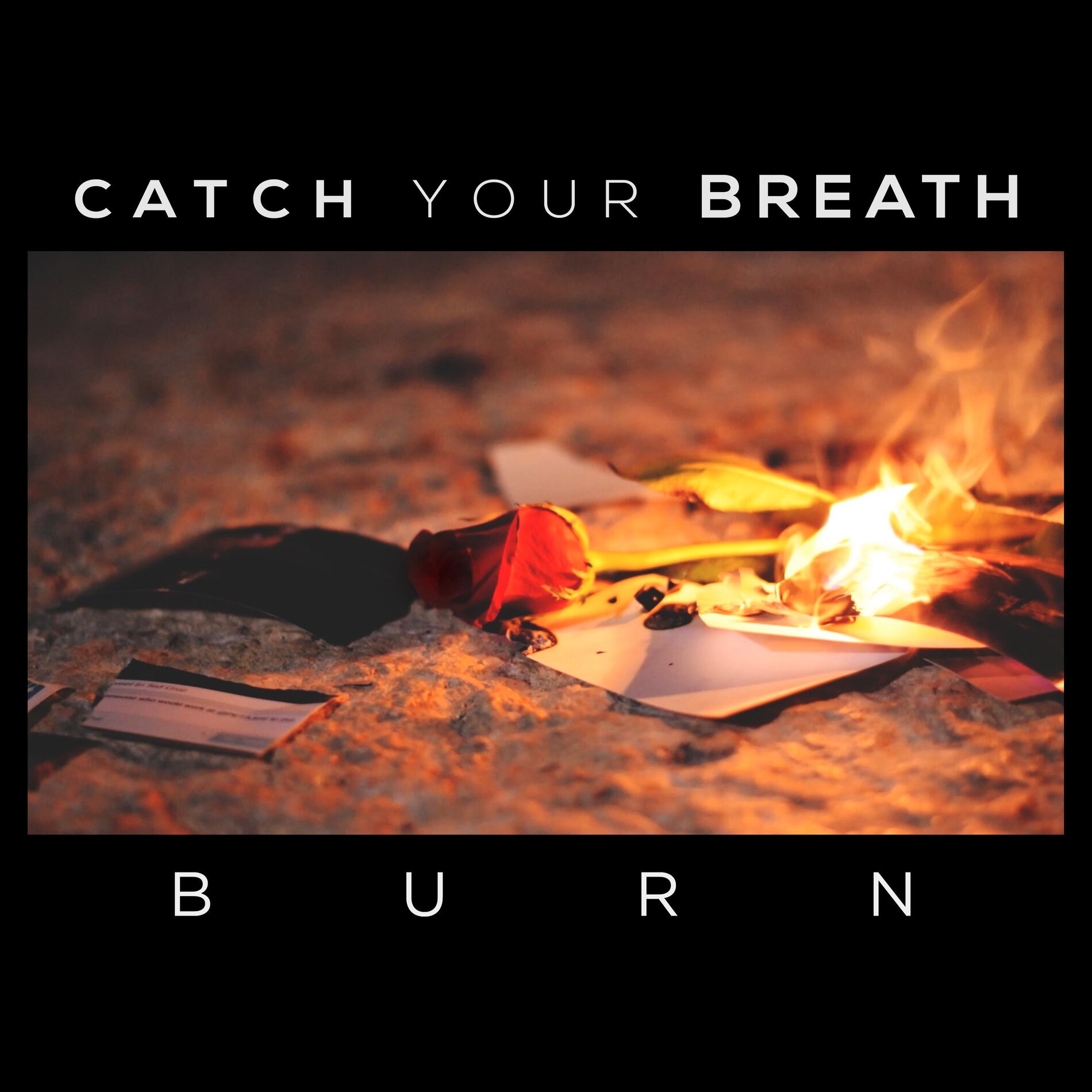 Album cover of Burn