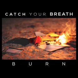 Cover of Burn