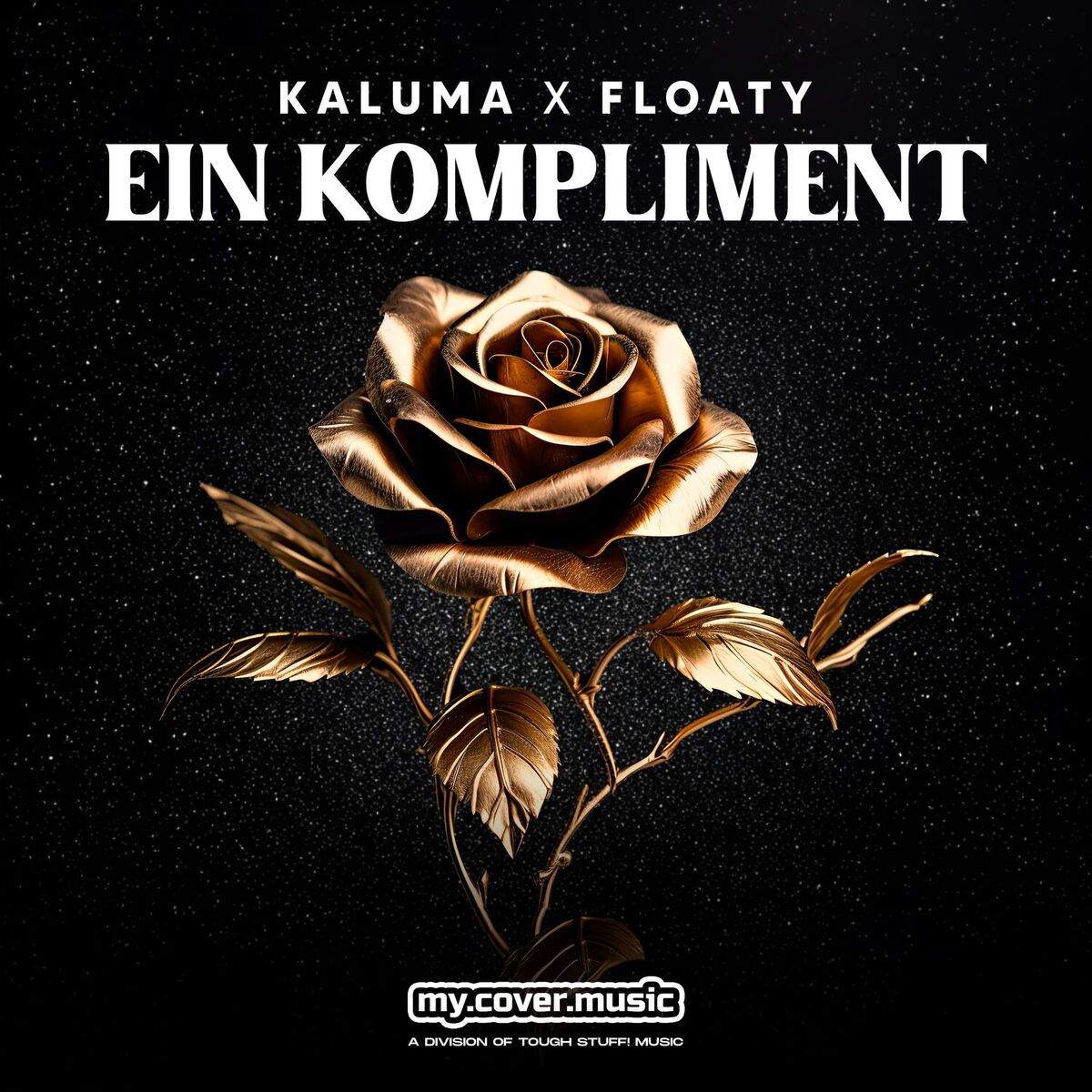 Album cover of Ein Kompliment