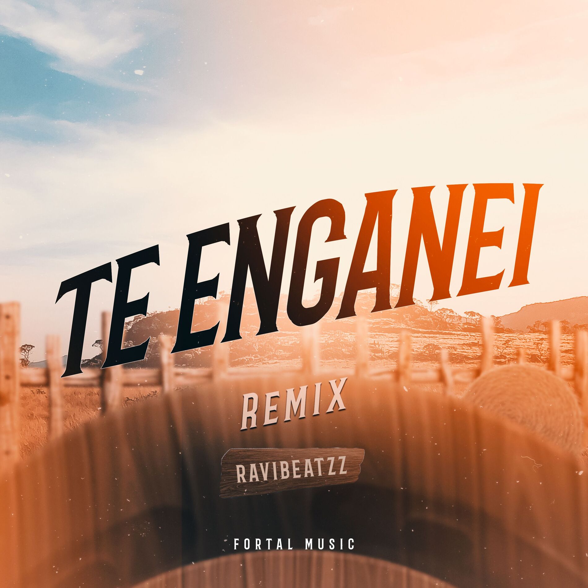 Album cover of Te Enganei (Remix)