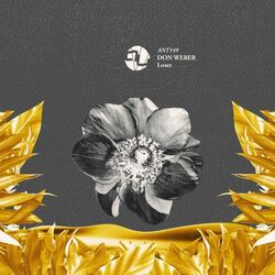 Cover of Loser (Radio Edit)