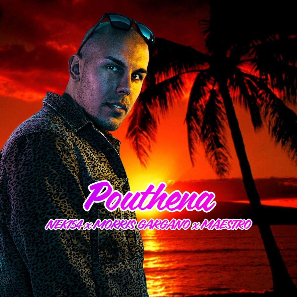 Album cover of Pouthena