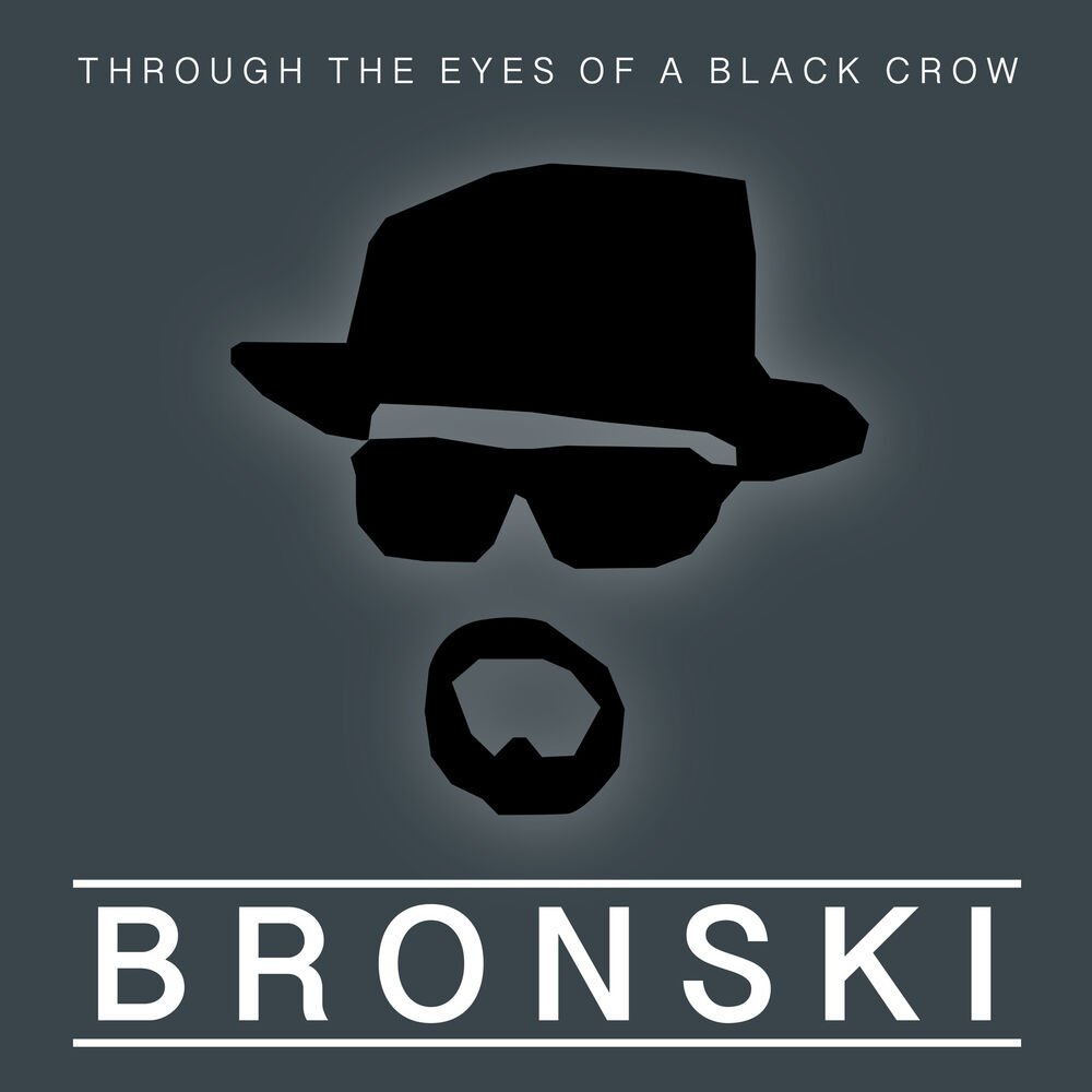 Picture of Through the Eyes of a Black Crow