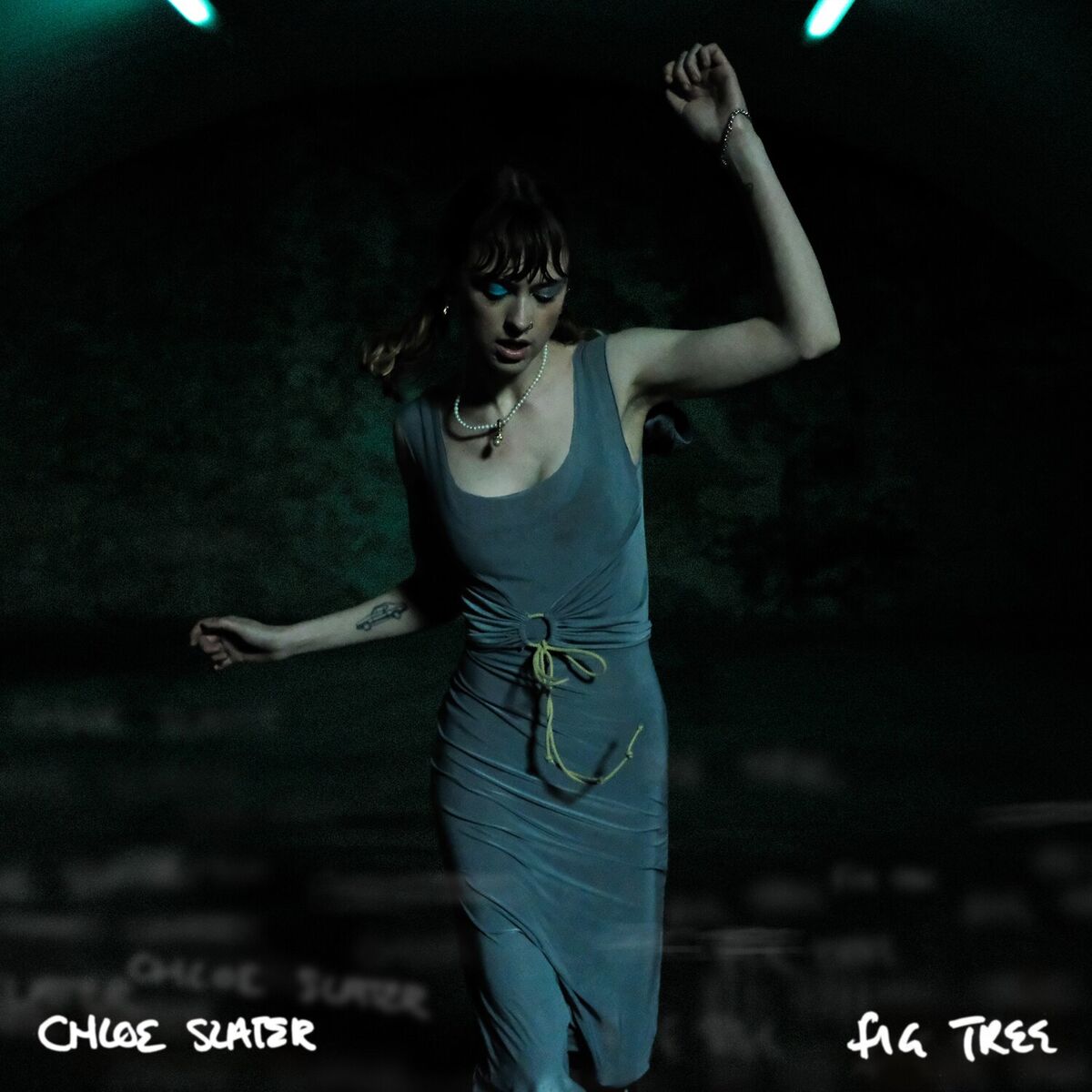 Album cover of Fig Tree