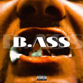 B.ASS