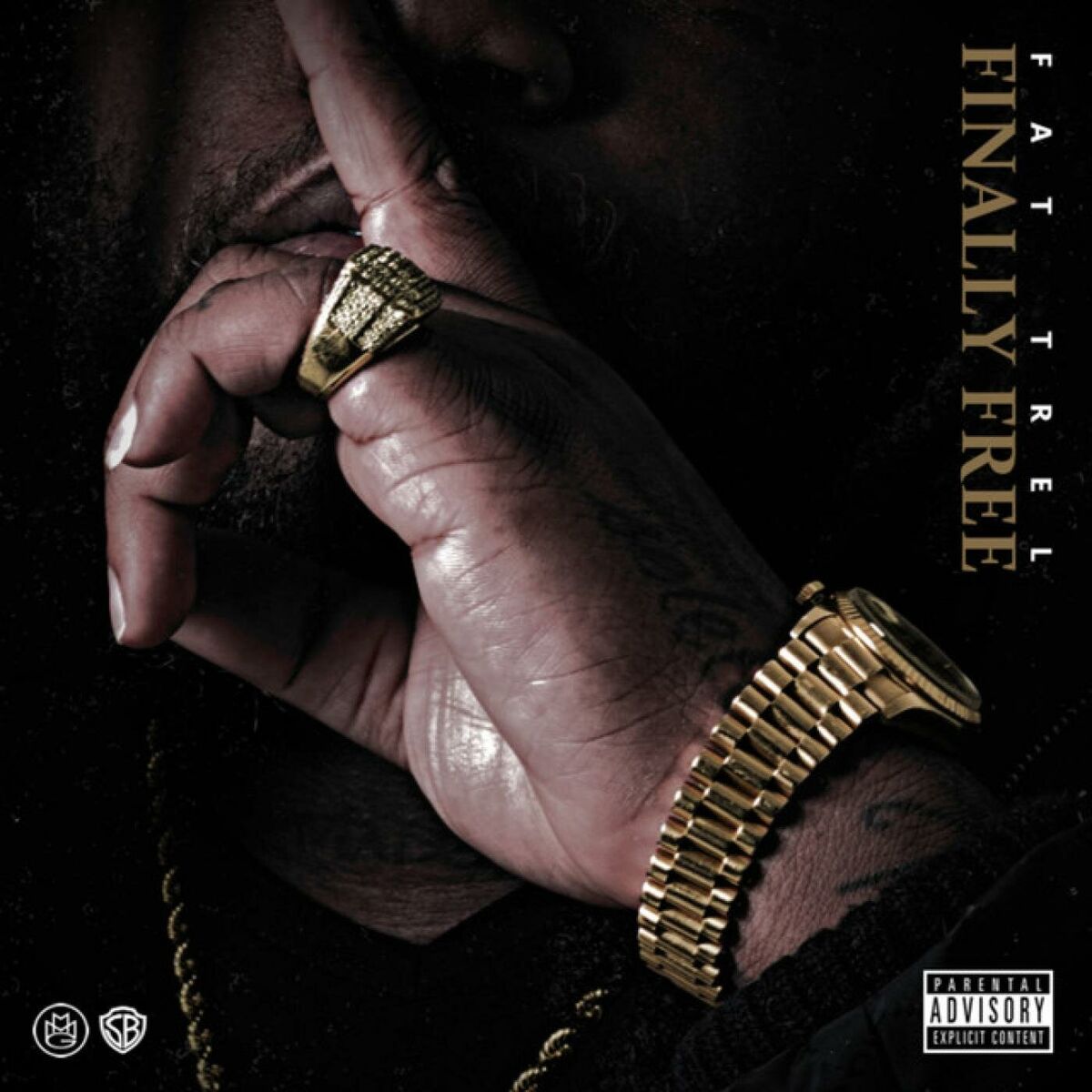 Album cover of Finally Free