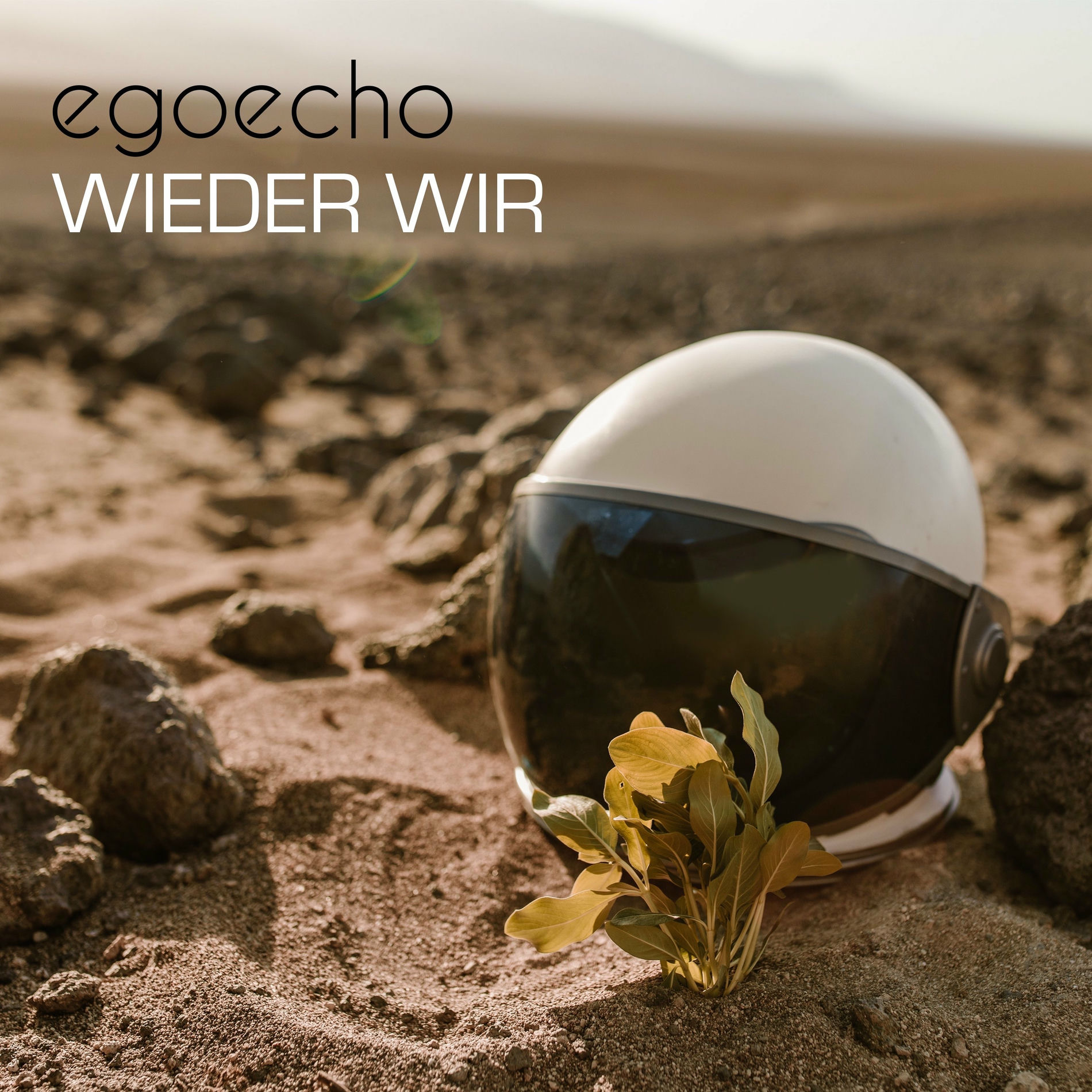 Album cover of Wieder wir
