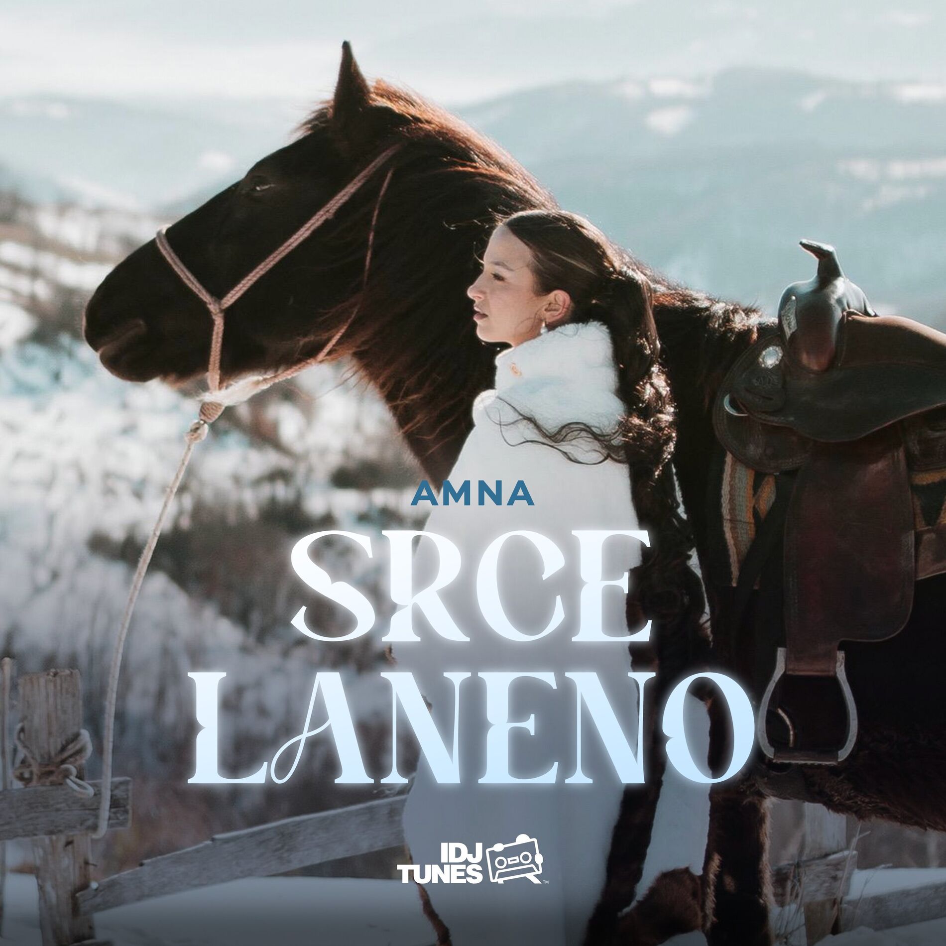 Album cover of Srce Laneno