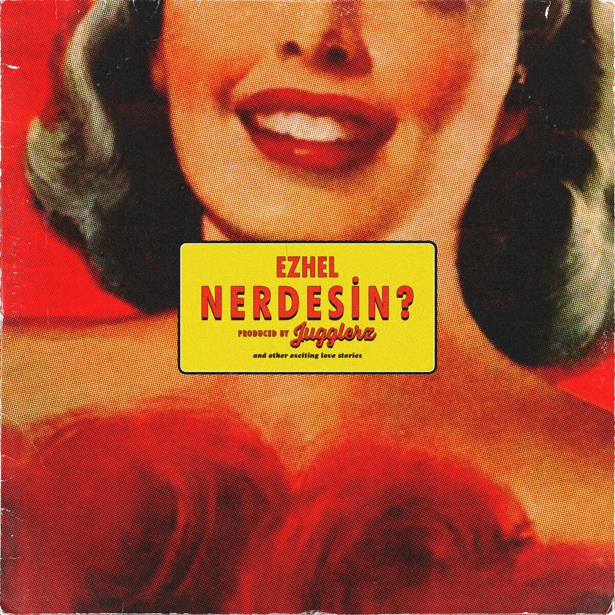 Album cover of Nerdesin