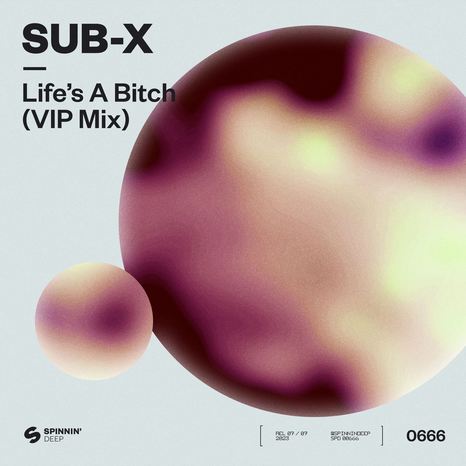 Album cover of Life’s A Bitch (VIP Mix)