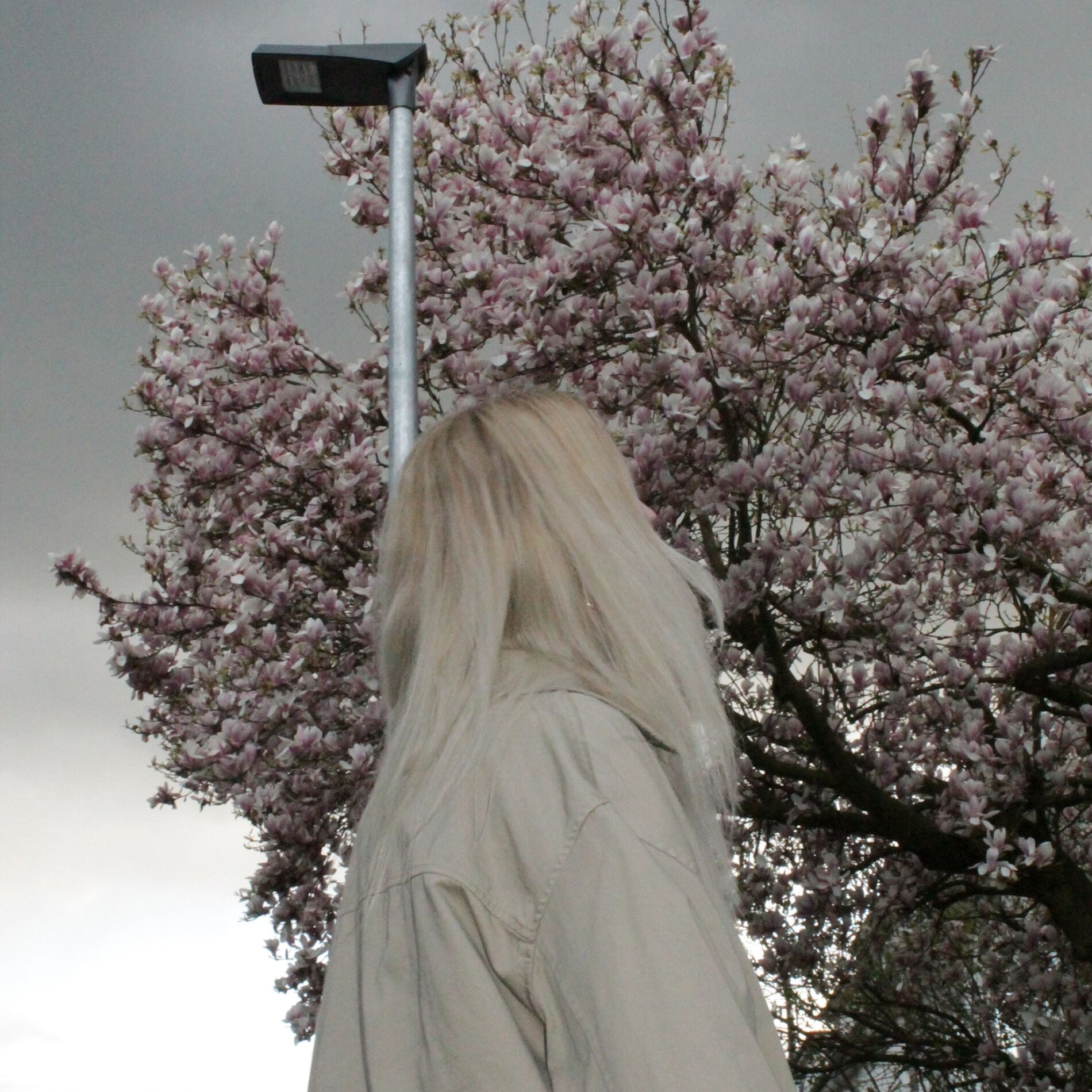 Album cover of Sektfrühstück
